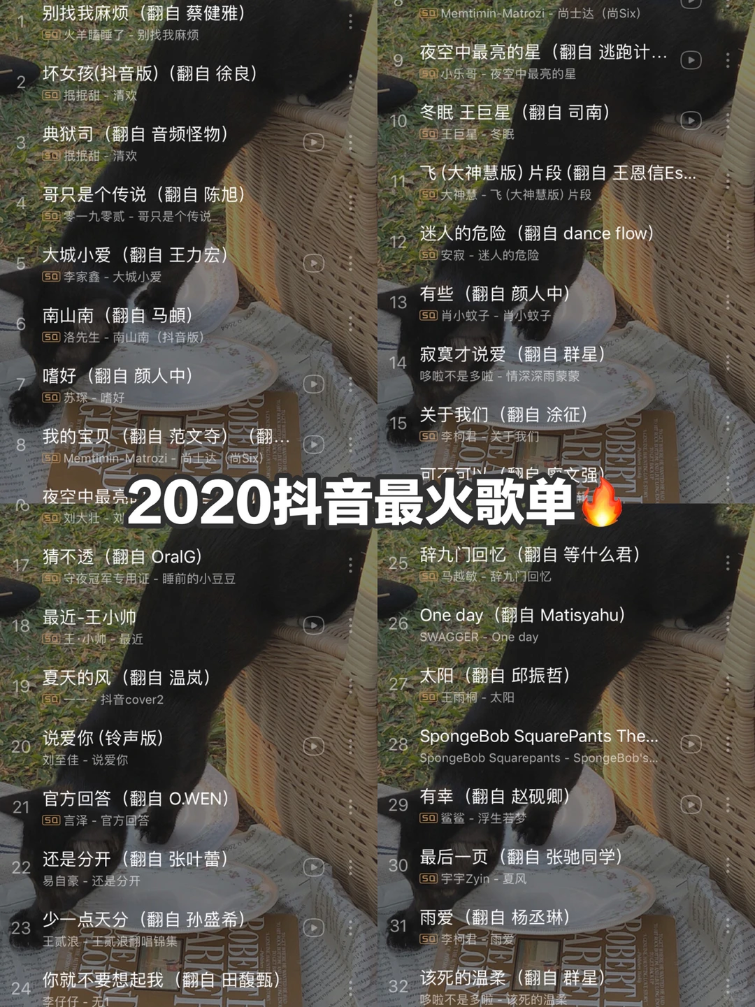2020抖音最火歌单💥