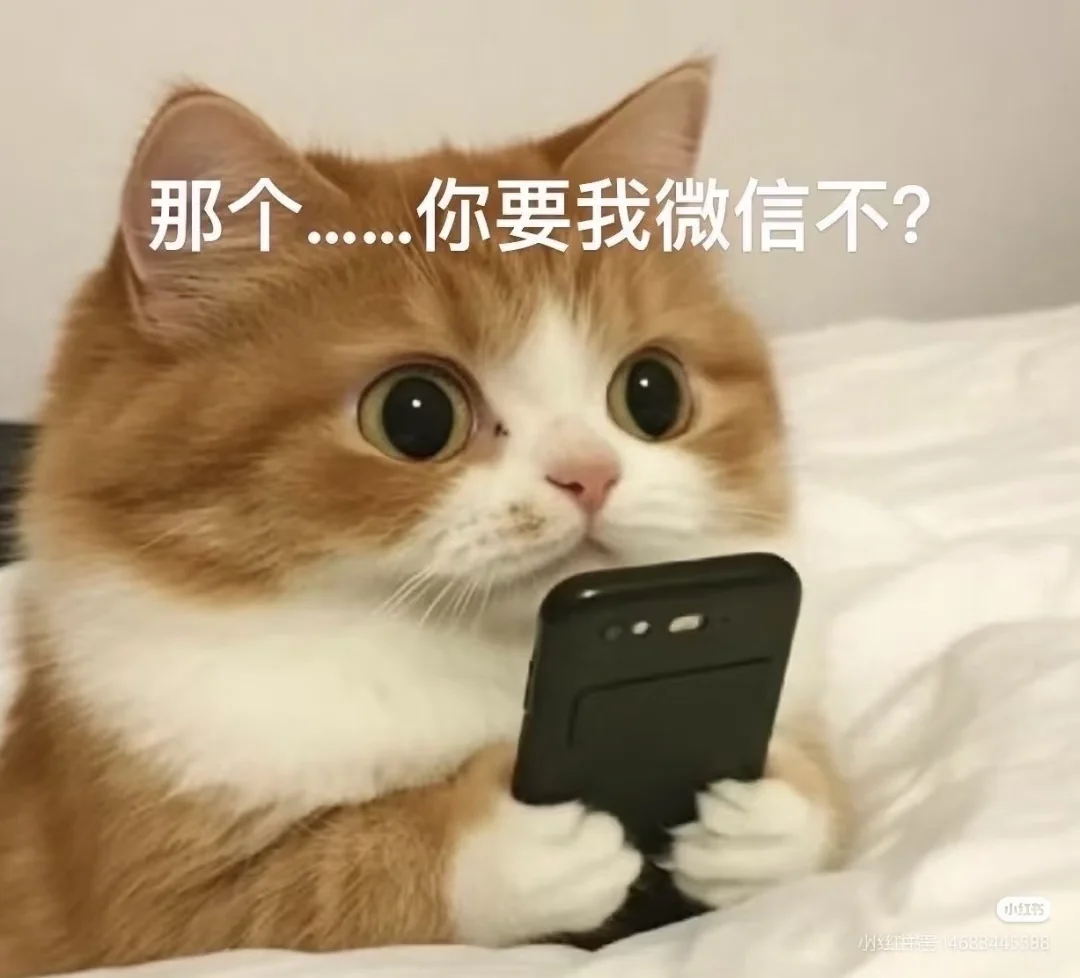 我想听个动画片歌曲，中不中