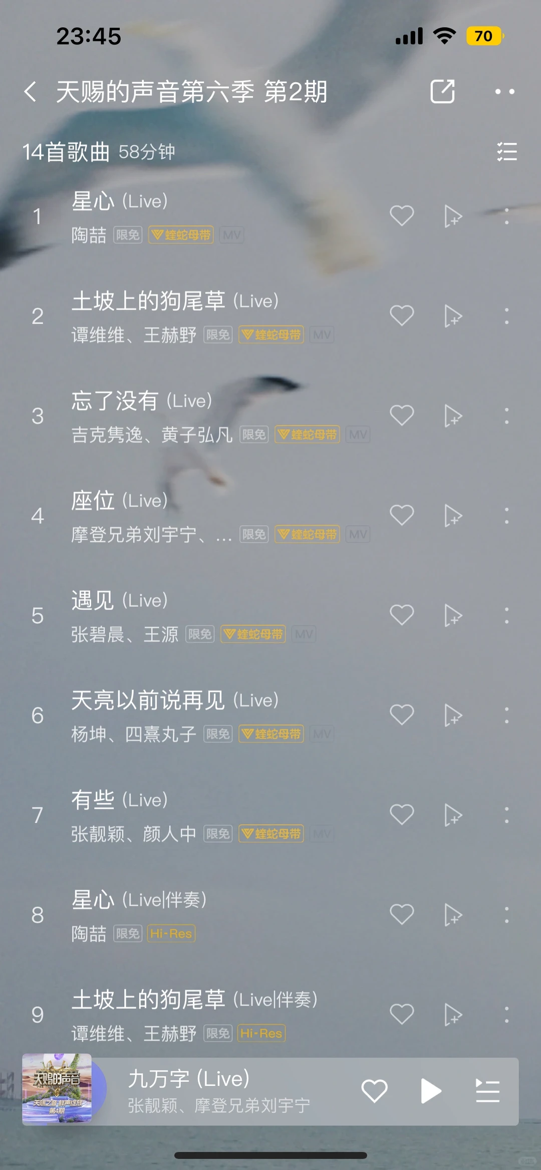 今年天赐的声音抖歌含量真高啊‼️