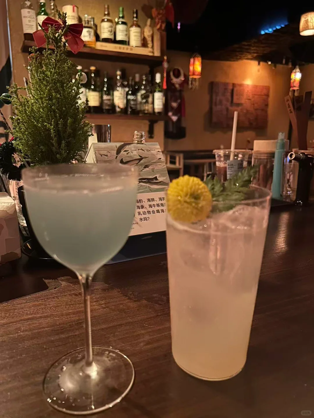 深圳🌆｜打工人天堂——牧马城市民谣酒馆🍸