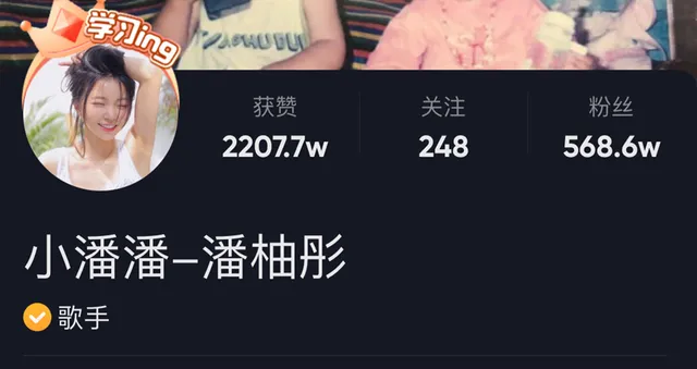 小潘潘版《黄梅戏》|“国风”歌曲的流行再造与“矫味”改编