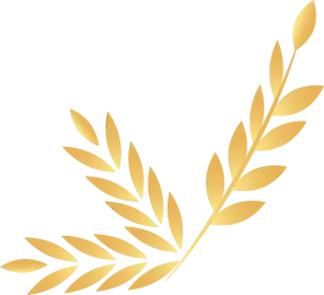 这些老歌,满满的都是回忆!