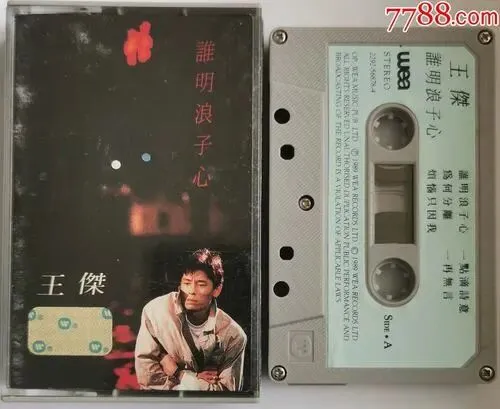 经典老歌-王杰《谁明浪子心》