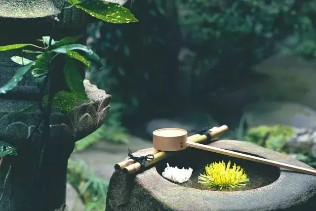 一首老歌《藕断丝连》好听到流泪!