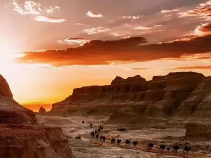 经典老歌:费玉清《梦驼铃》世人只知雄鸡图,何人还知海棠泪!