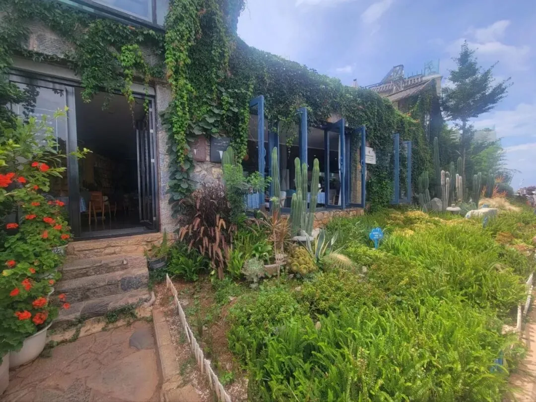 大理日记|双廊的咖啡馆放着老歌,每一句歌词都像是在说我的心事