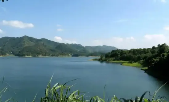 每年一首流行歌,都是你喜欢的老歌