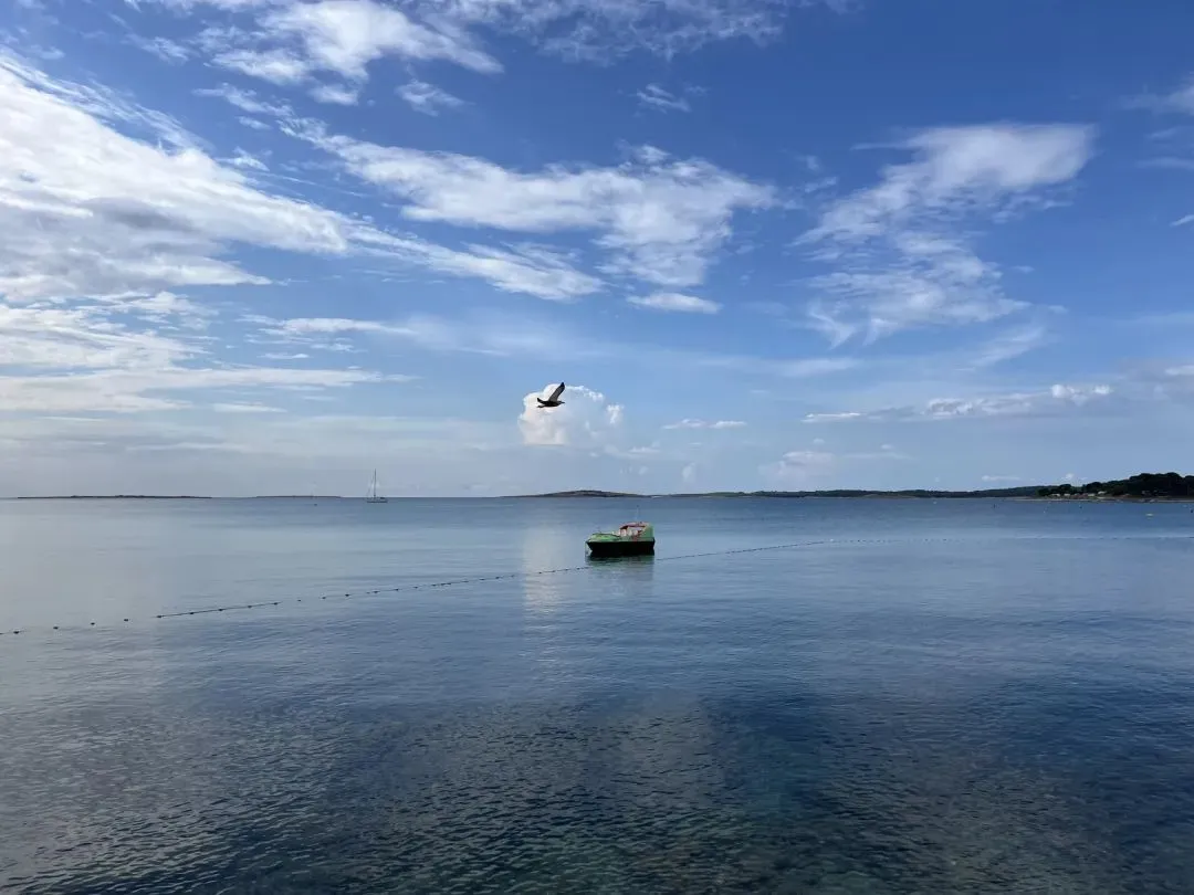经典 | 《永嘉证道歌》