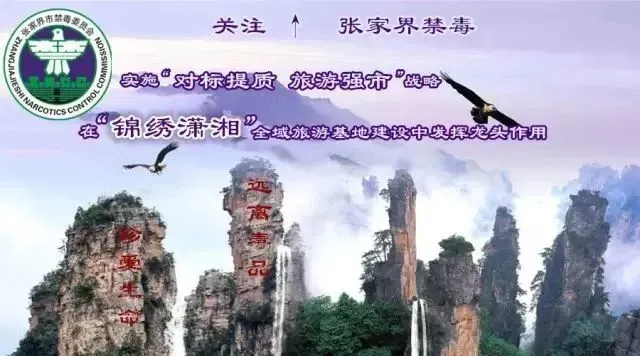 庆祝中国人民警察节|禁毒歌曲《用生命起舞》获全国公安系统优秀原创