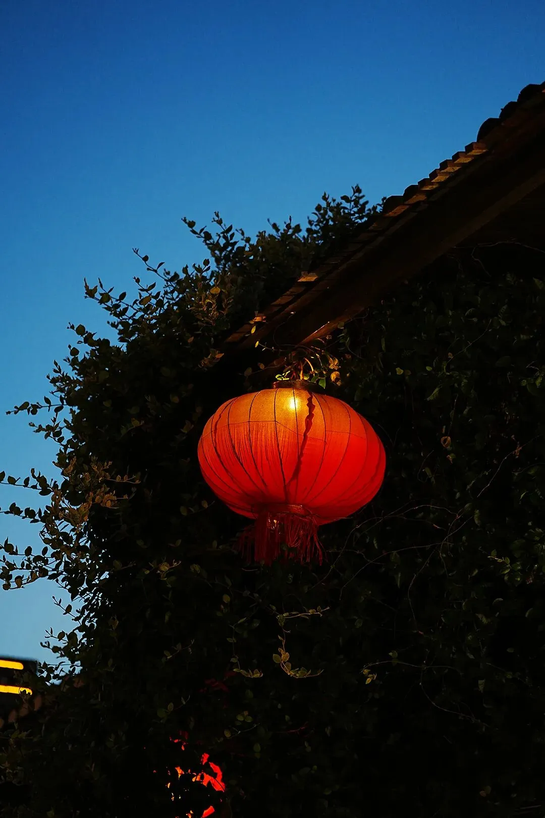 中老年温情流行音乐清单:老歌承岁月,新曲暖安然,QQ音乐即搜即享