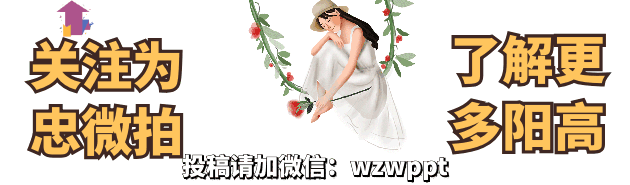 十二生肖歌之九·申猴 作家谢寰