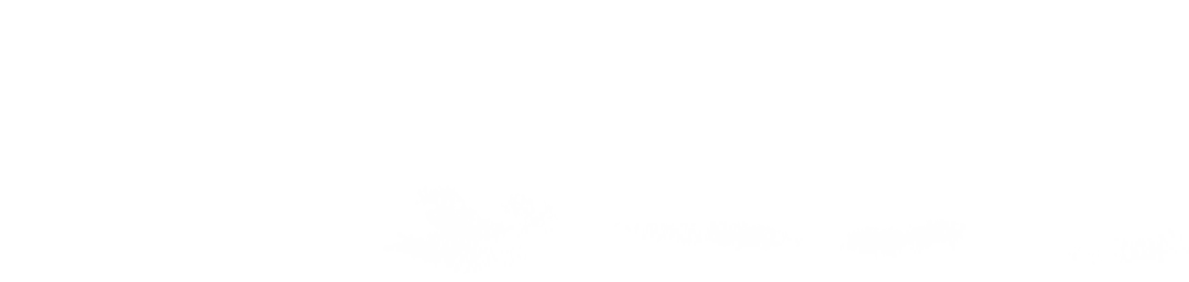 穿越千年的海上传奇:歌曲《南沙旭日》首发!唱响“羊城八景”新篇章