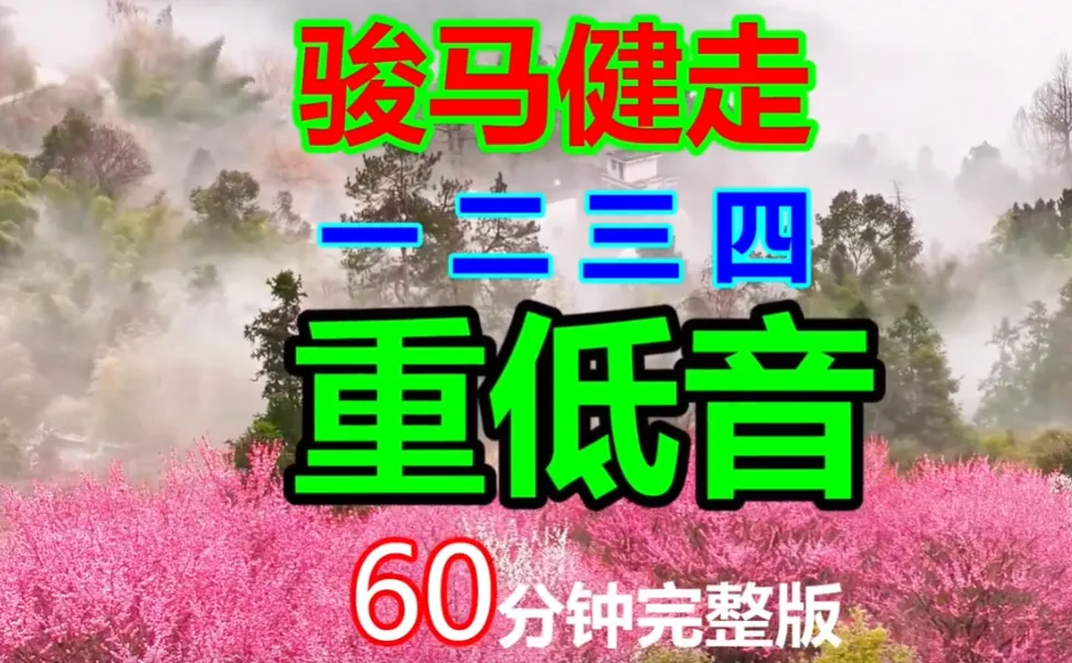 1-4套骏马健走60分钟完整版健步走歌曲串烧骏马健走操