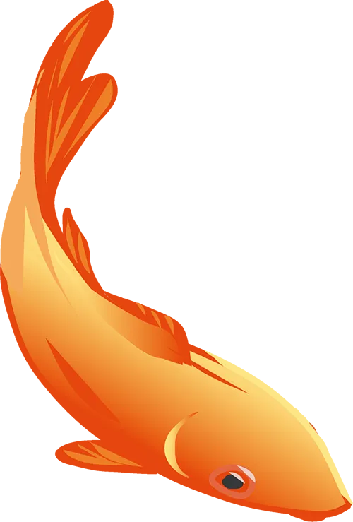 秋夜听涛《涛声依旧》,老歌如酒,越品越香