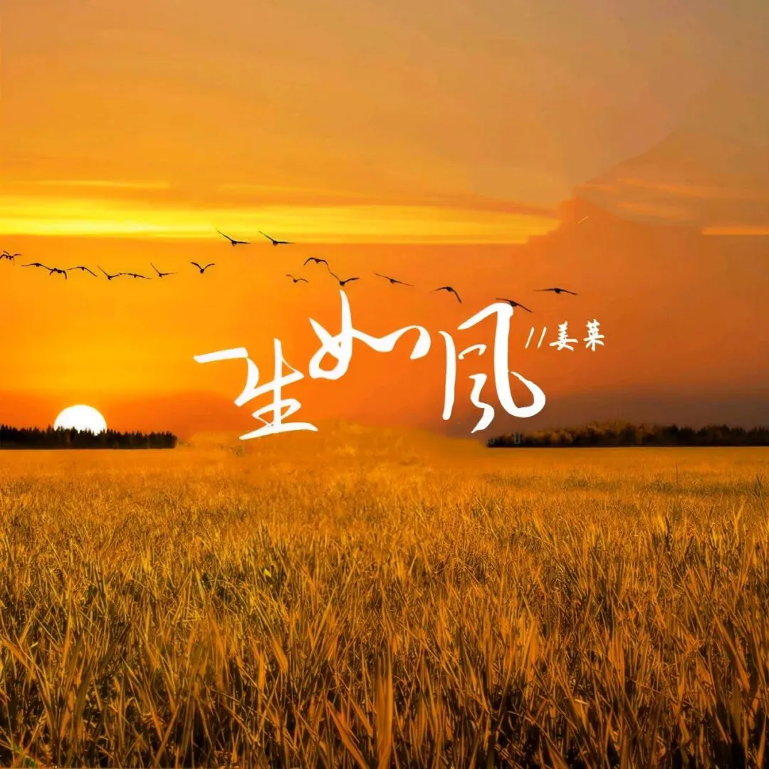 生命如歌逝如风|杨春富