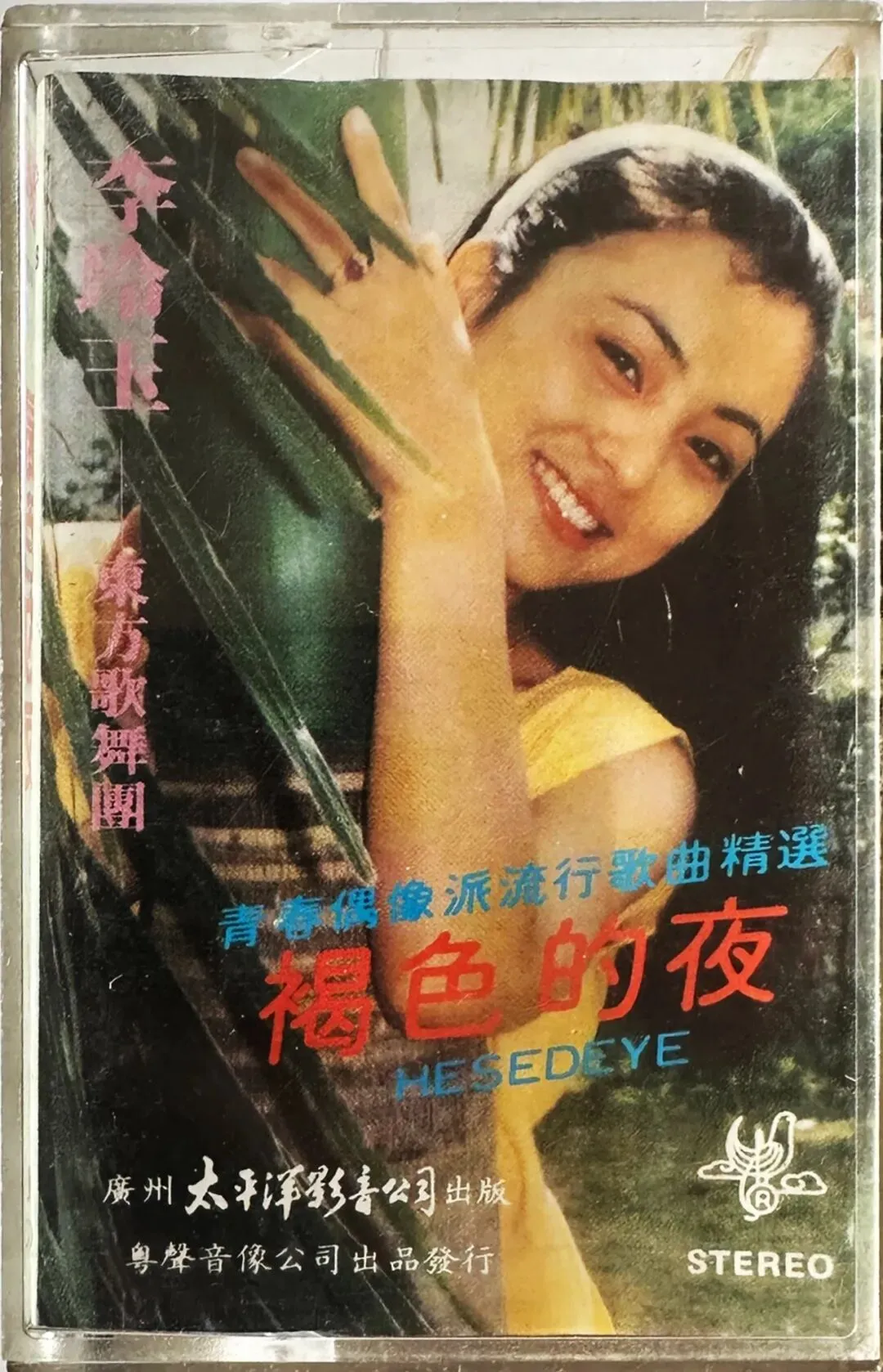 老磁带音乐:青春偶像派流行歌曲精选《褐色的夜》李玲玉专辑