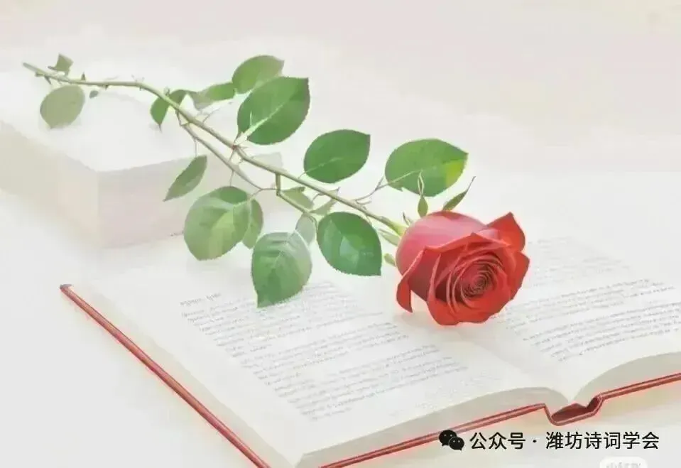 匠心歌五一 炉火煅诗花 ——“五一诗社”成立,管恩锋担任首任社长