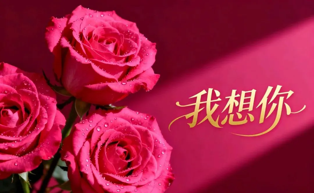 耳机里的老歌还在,陪我听歌的人,却不在身边了,真的好想你