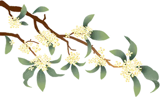 《岁月如歌》兰姨