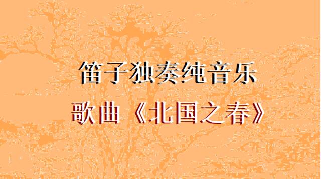 笛子独奏纯音乐歌曲《北国之春》