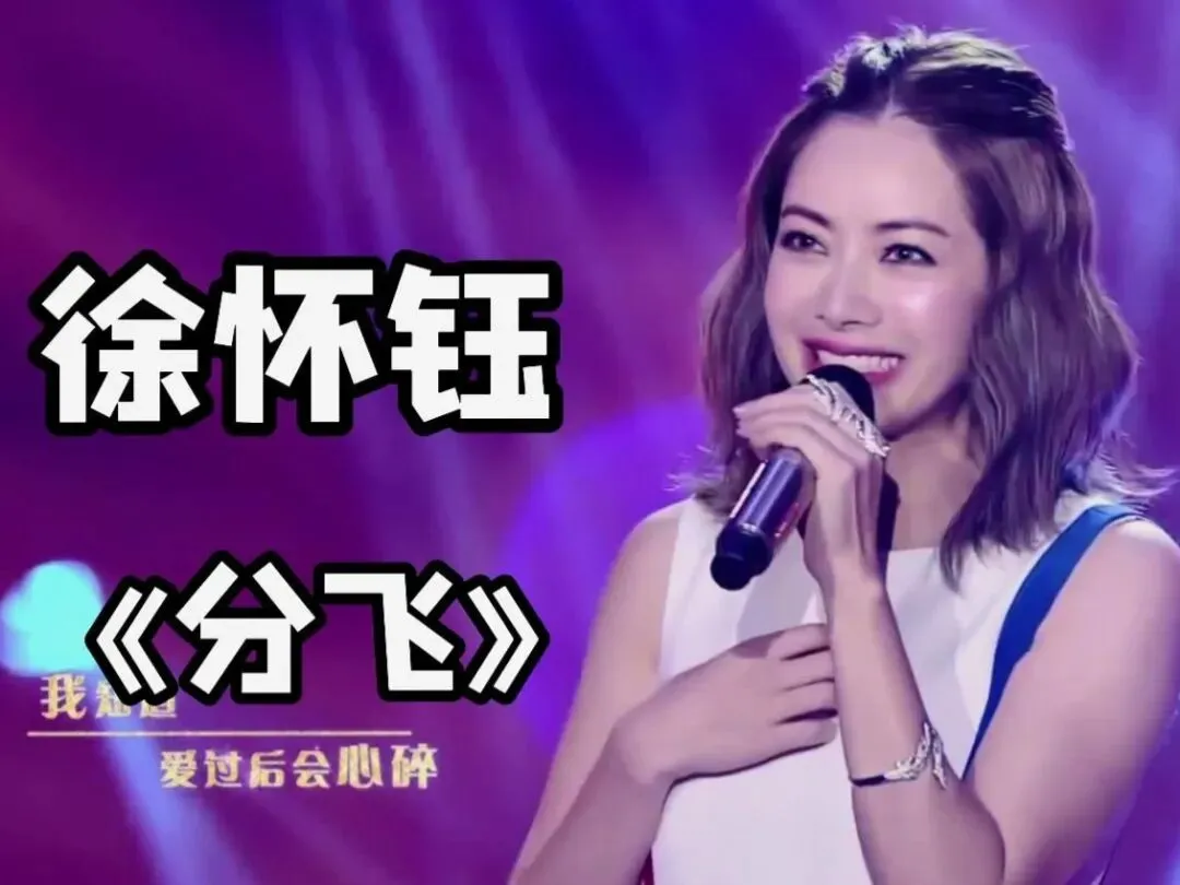 经典老歌:徐怀钰《分飞》雨纷飞,飞在天空里是我的眼泪!