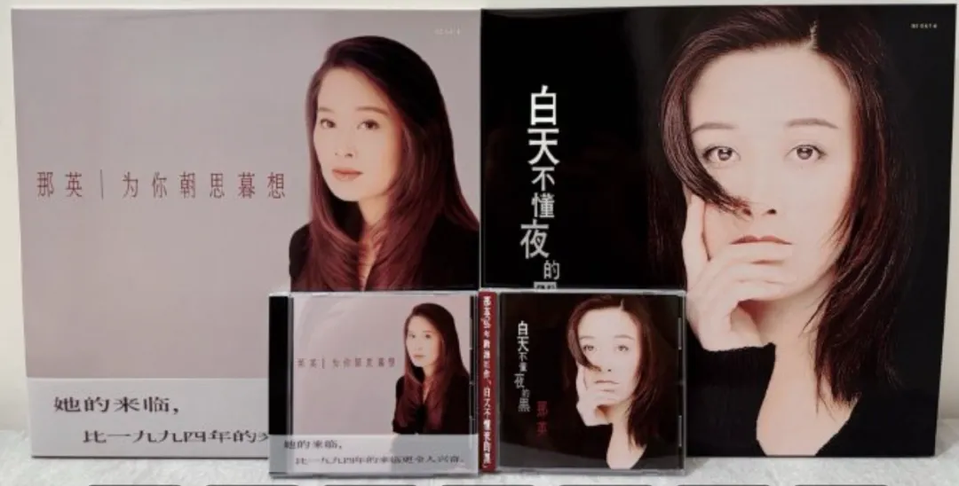 《白天不懂夜的黑》那英--歌曲推荐