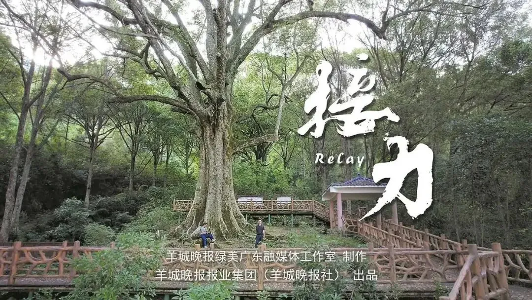公益歌曲《老谭的树》MV温暖上线