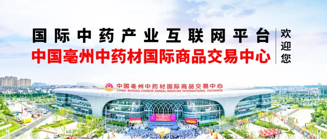 影视歌明星何晟铭走进亳州中药材商品交易中心,溯源珍宝岛草本膏滋,探寻中医药文化魅力!