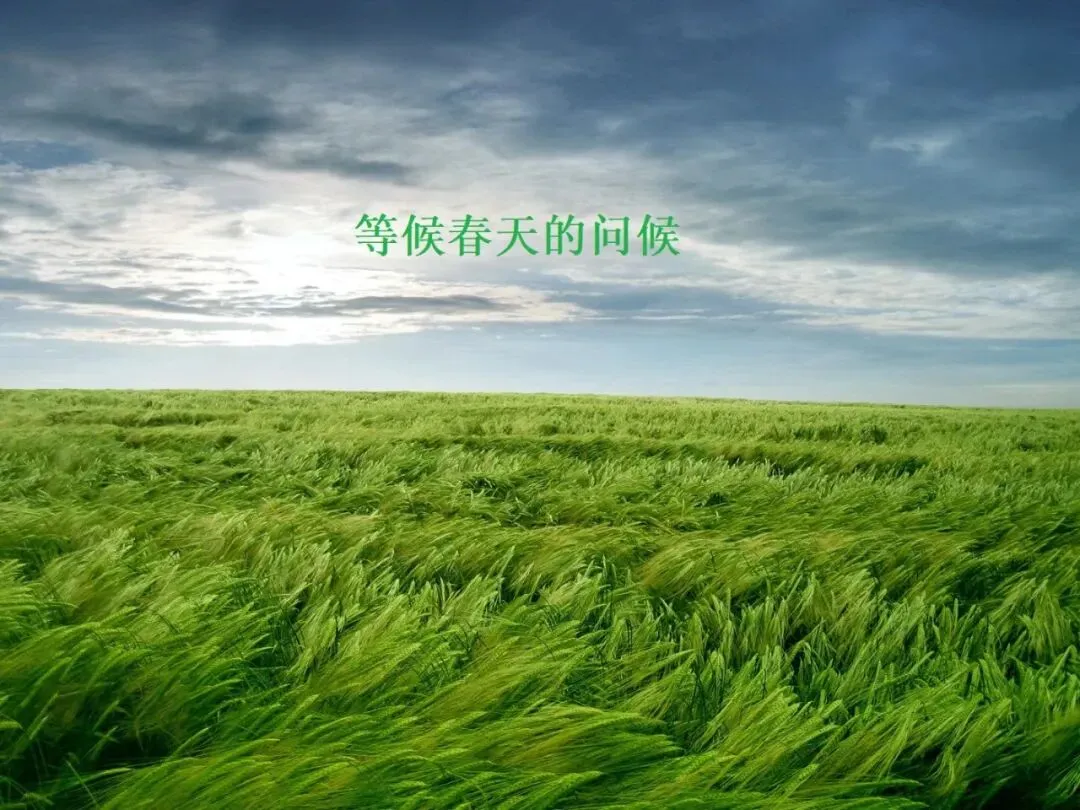 毕业后第一首原创歌曲——《等候春天的问候》