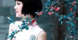 ♬ 经典老歌《萍聚》真是太好听了!百听不厌!
