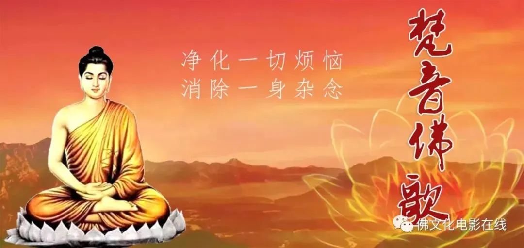 这些歌曲太好听了,一定收藏!
