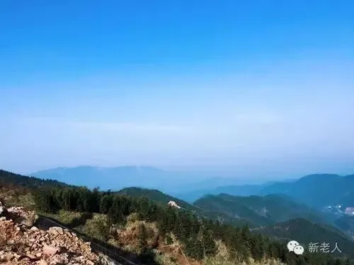 70首经典老歌,汇集在一起不容易,赶紧收藏!