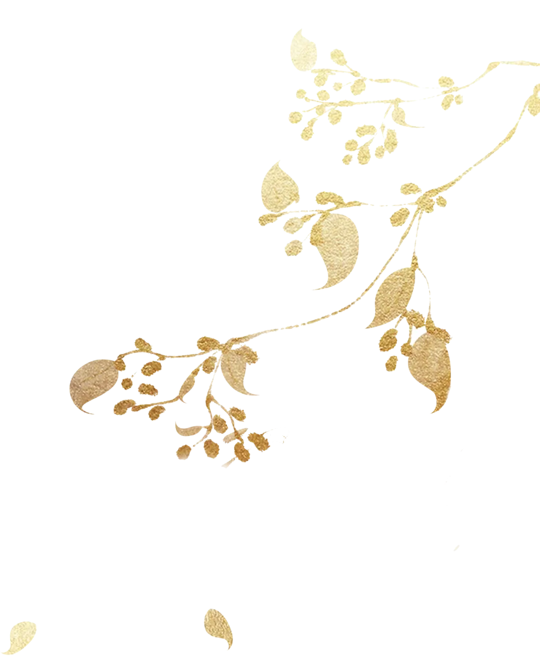 祥歌│诗画寄流年