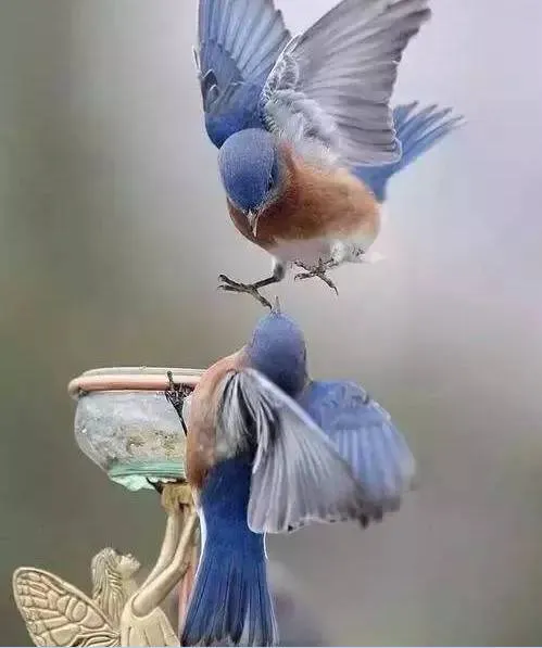 ♬ 在吗?送你一首好听的歌!