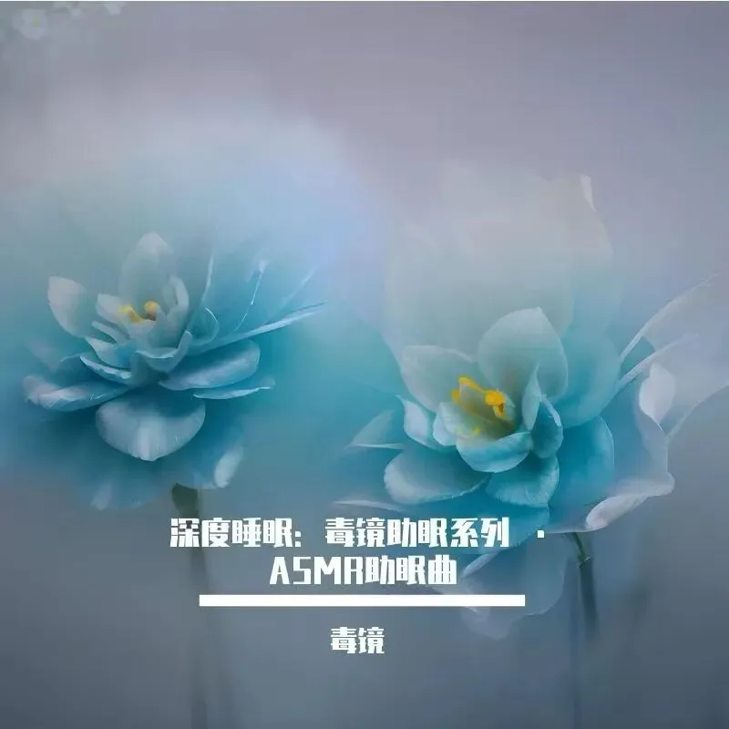 送给失眠的人: 助眠的ASMR歌曲推荐