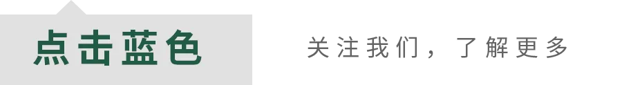 以歌为桥 连接世界:《昌平之心》奏响军民文化新乐章