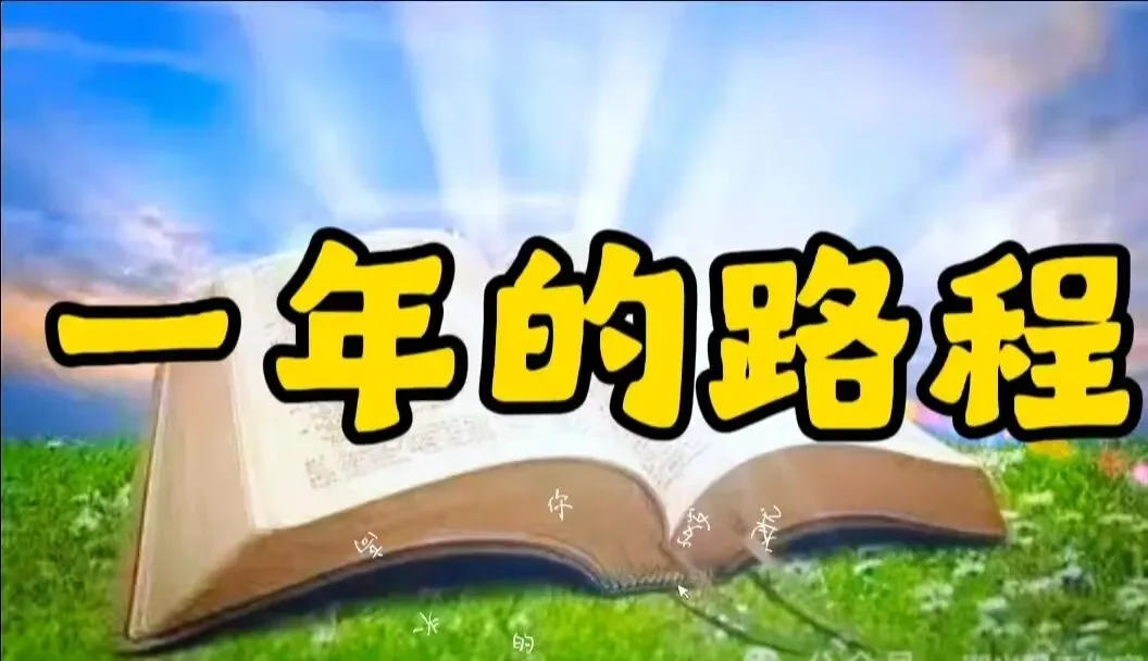 歌曲+伴奏《一年的路程》在父爱陪伴中度过!唱完心情