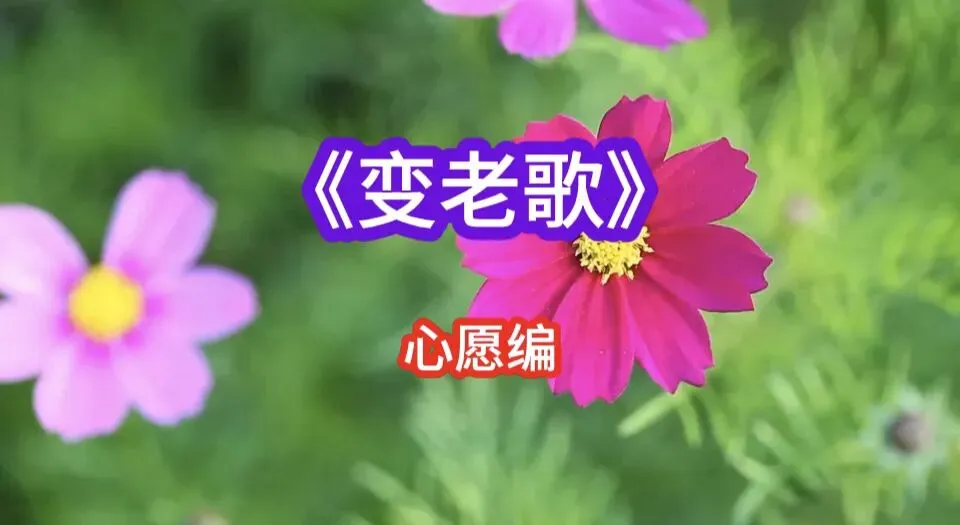 《变老歌》(心愿编)