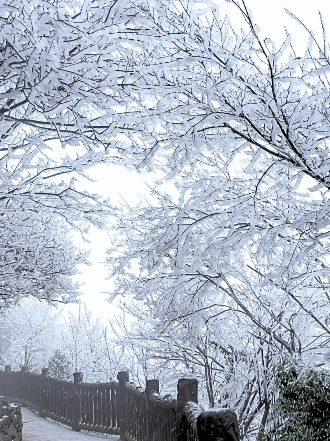歌曲《摩围山的雪》 你那里下雪了吗