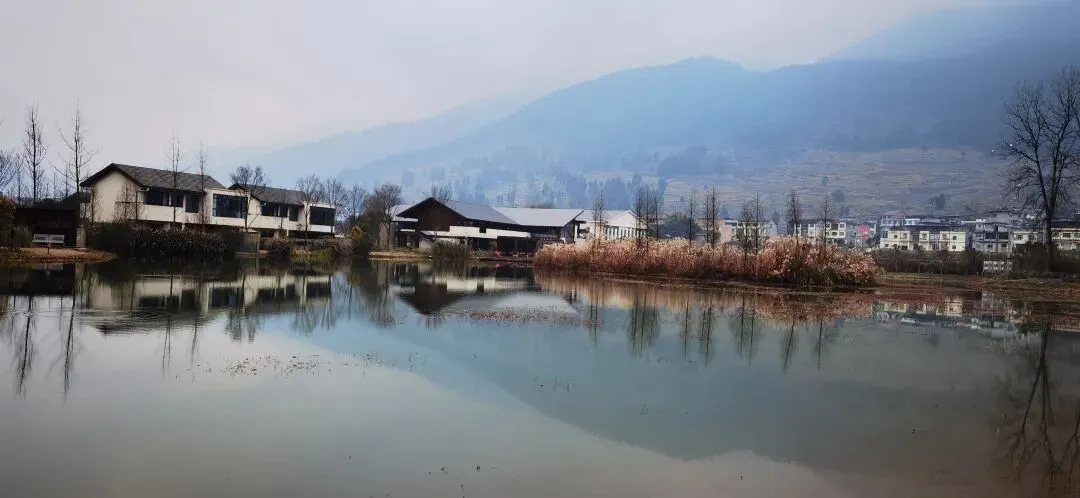 曾经有歌:又是中秋