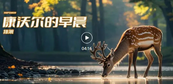 周五愉快!10首最美的祝福歌曲,音乐大全送给您,祝您吉祥如意,快乐安康!