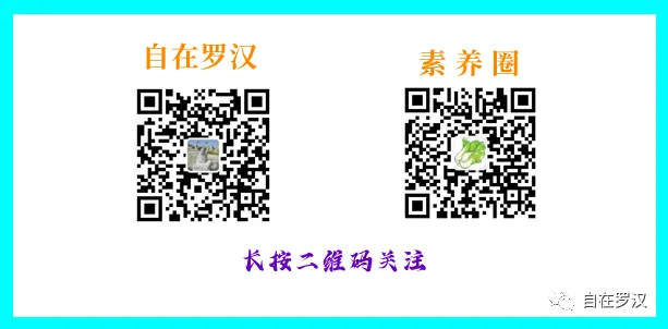 一曲《劝早修行歌》净化一切烦恼