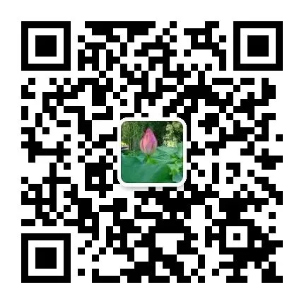 流行歌曲简单伴奏方法