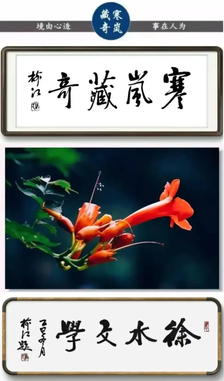 徐水文学 | 水调歌头 庆贺＂寒岚藏奇”十周年有感