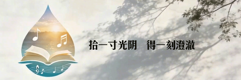 当喜鹊掠过晨光,与老歌重逢
