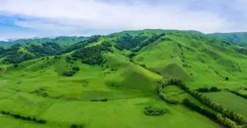 【歌曲歌词】余荣莹:绿色山地(歌词)