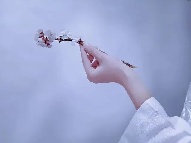 默语长歌