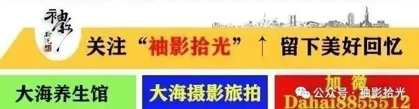 岁月如歌舞蹈队带来的【中华全家福】袖影拾光联欢会