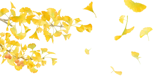 歌曲欣赏 | 《一切都会过去的》