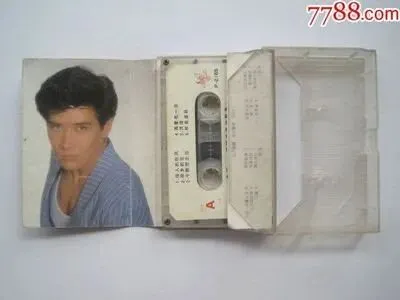 天门山文学首席作家.审视||时代与流行歌曲